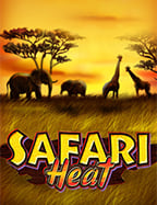 Rooster in Pot ทดลองเล่นฟรี เกมสุดมันส์จาก CQ9